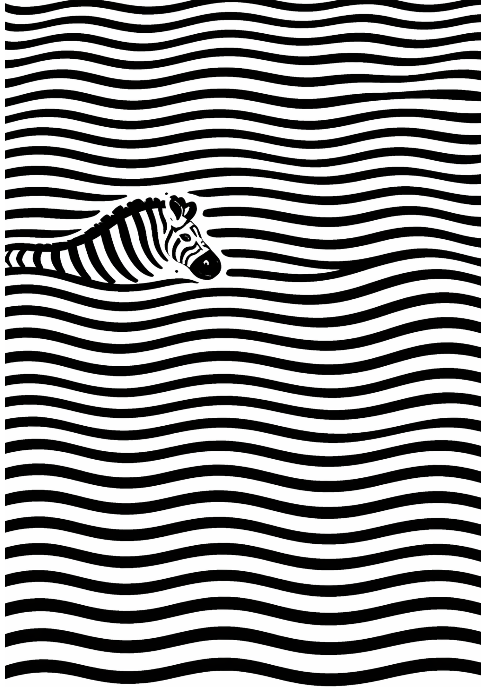 Zebra Family Portrait